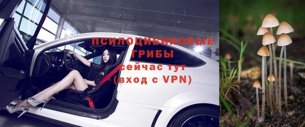 каннабис Белокуриха