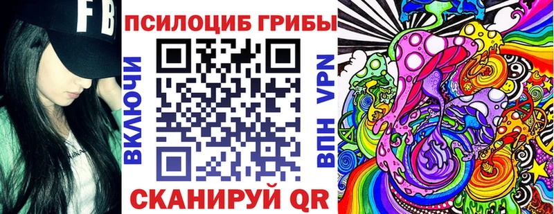 kraken ссылки  Яранск  Псилоцибиновые грибы Psilocybe 